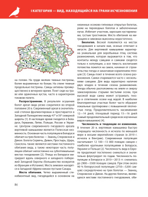 Красная книга Республики Беларусь. Животные. 5-е издание